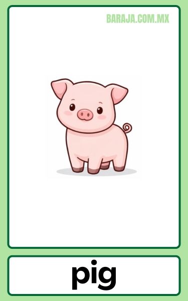Pig