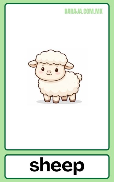 Sheep