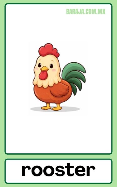 Rooster