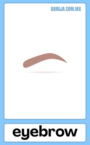 Eyebrow