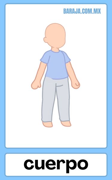 Cuerpo